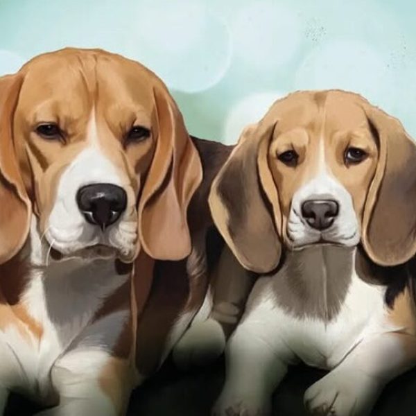 Dogs